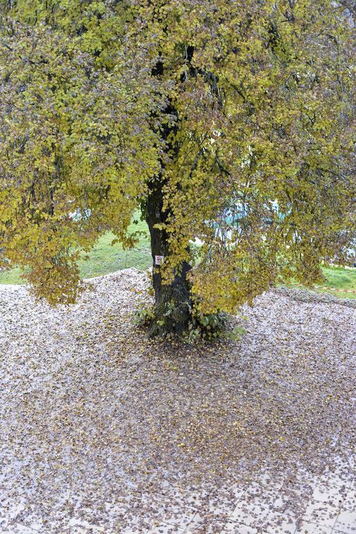 Bed and Breakfast L'Escale en Ubaye Saint-Pons  Exterior foto
